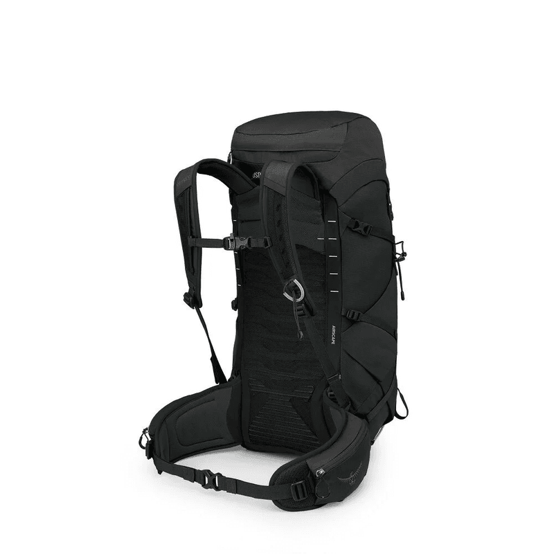 Talon 33