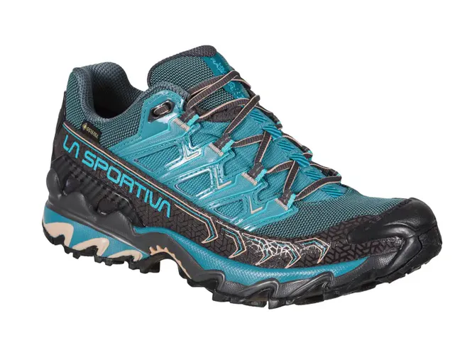 Hovedbilde Ultra Raptor II GTX W's Hikingsko