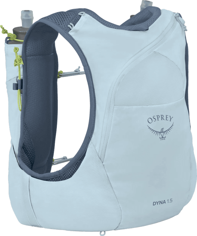 Dyna 1.5